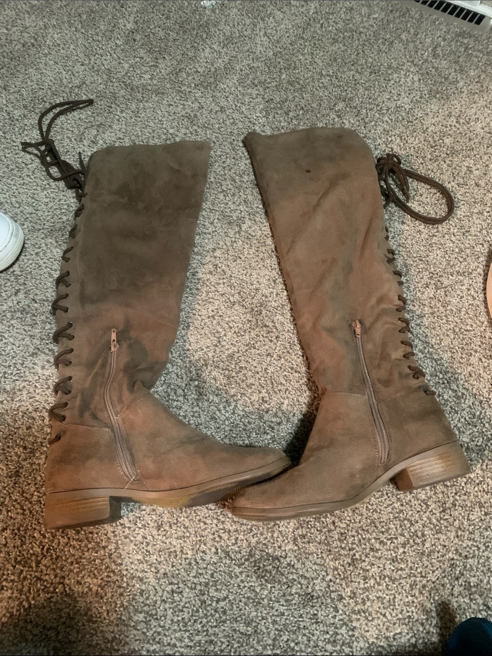 Women's Tall Lace-Up Side-Zip Boots in Brown
